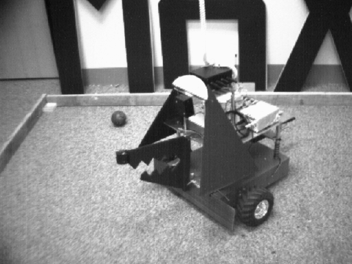 Figure 5 : Max as a Stylized Dog