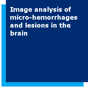 Image analysis of micro-hemorrhages and lesions in the brain