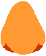 nose