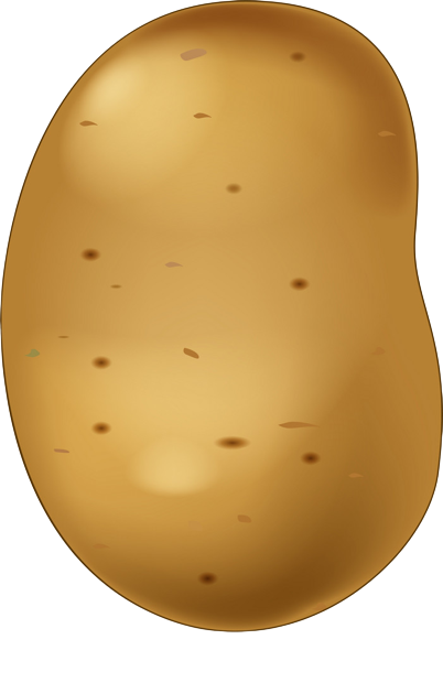 potatobody